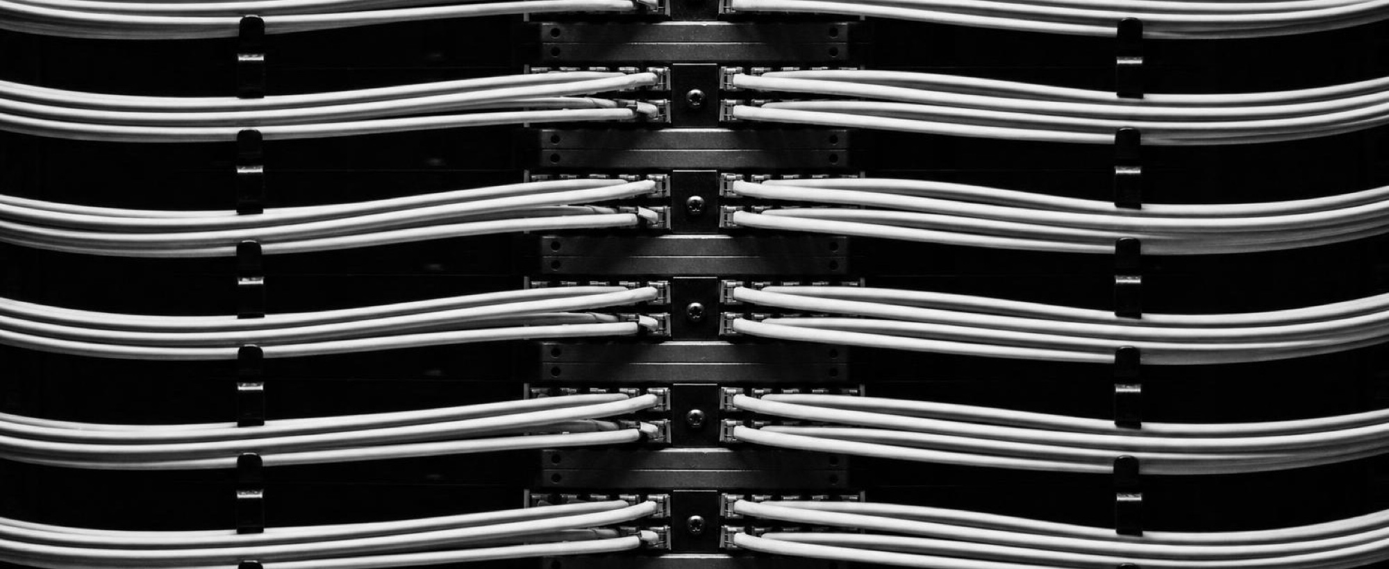Patch cables bundled in tight rows across a network rack
